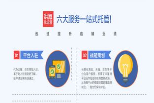洛陽乾嵐科技與拼奔科技 拼多多代運營服務(wù)靠譜性深度解析